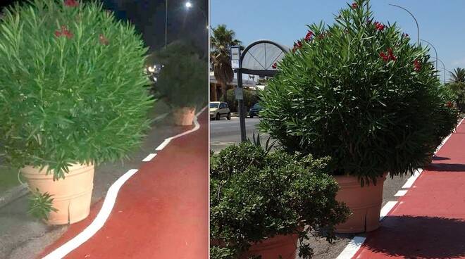 Prima e dopo: le linee della pista ciclabile di viale Vespucci a Marina di Massa