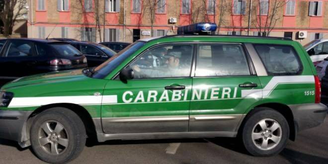 carabinieri forestali