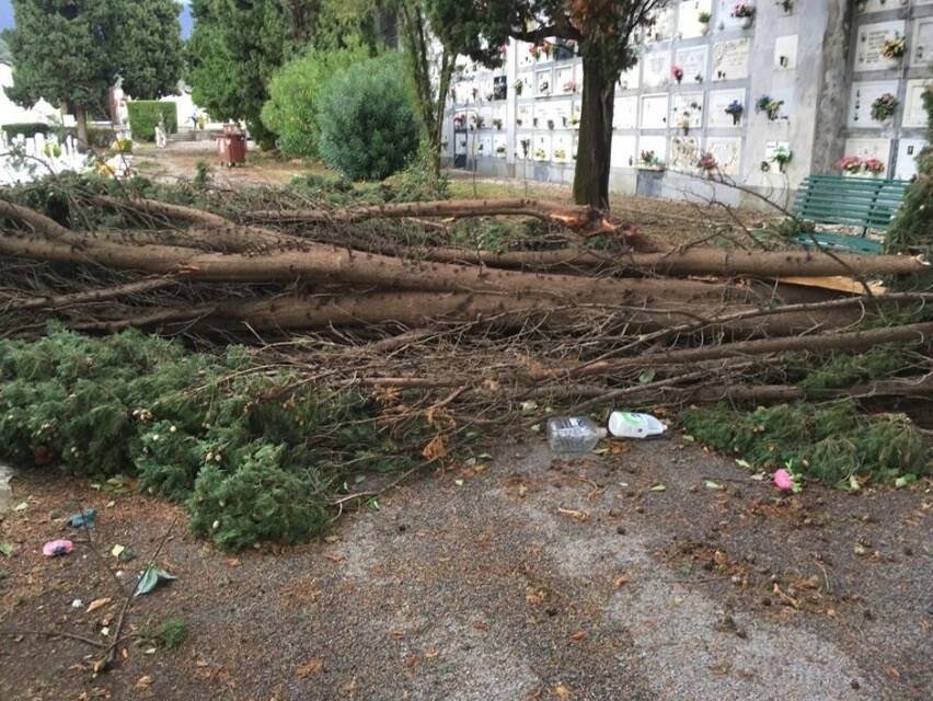 Il cimitero di Turigliano a Carrara