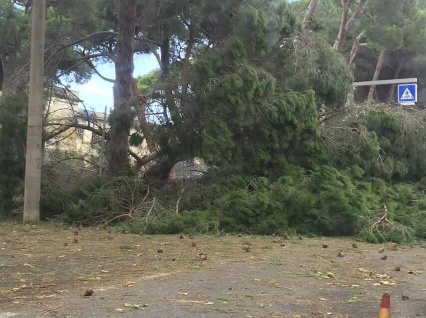 Marinella di Sarzana, confine con Marina di Carrara