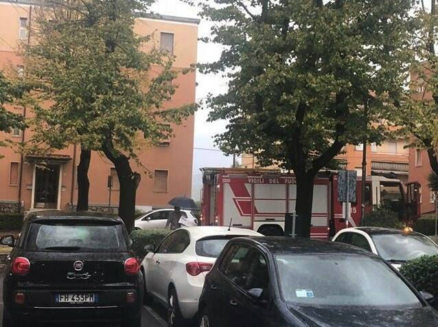 Un grosso ramo crollato in viale Roma a Massa