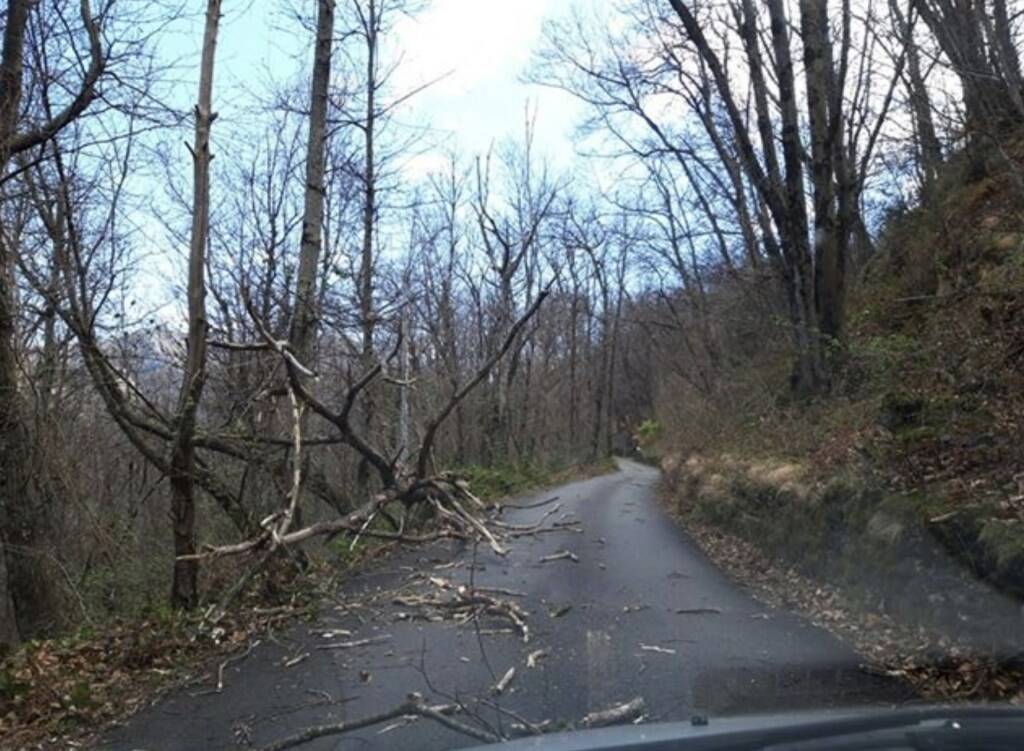 Il vento fa danni tra alberi caduti, auto danneggiate e un incendio