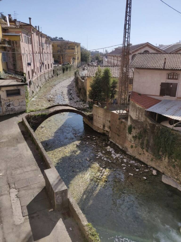 «I ponti storici non si toccano». In trecento alla manifestazione