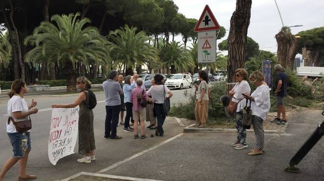 Abbattimento pini in viale Colombo: il sit-in di protesta