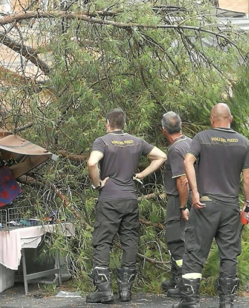 Grosso ramo di pino finisce sulla bancarella del mercato: paura a Marina di Carrara