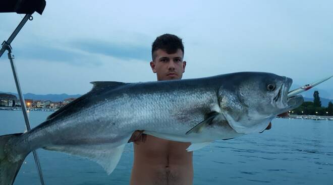 Alessandro Tuccio con la leccia di 13 chili appena pescata