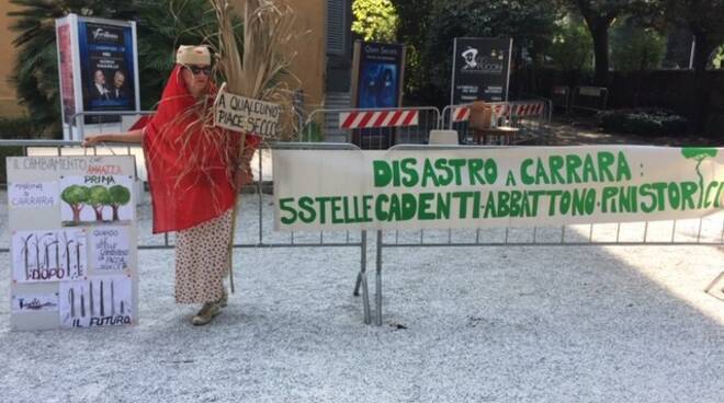 Il Comitato in difesa dei pini di Marina di Carrara alla Versiliana