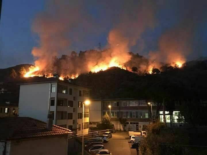 Incendio Brugiana