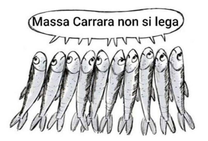 Le sardine