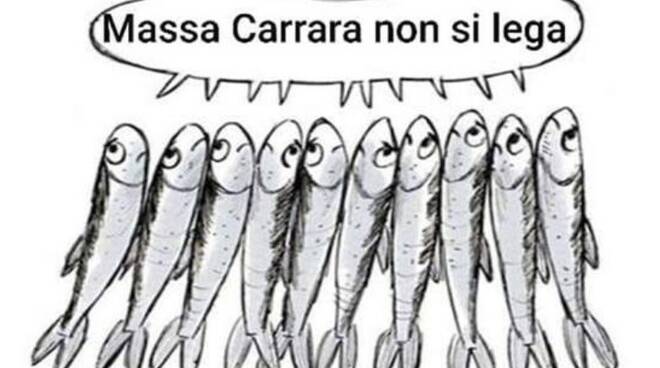 Le sardine