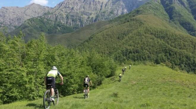 Percorsi in bicicletta