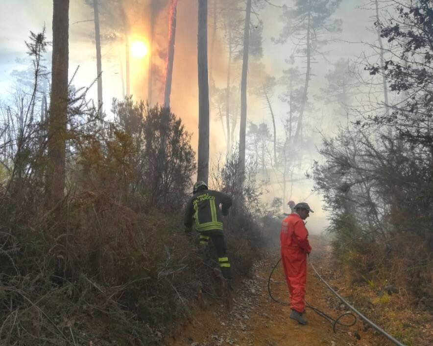 Incendio nel bosco nei pressi di Quercia, Aulla