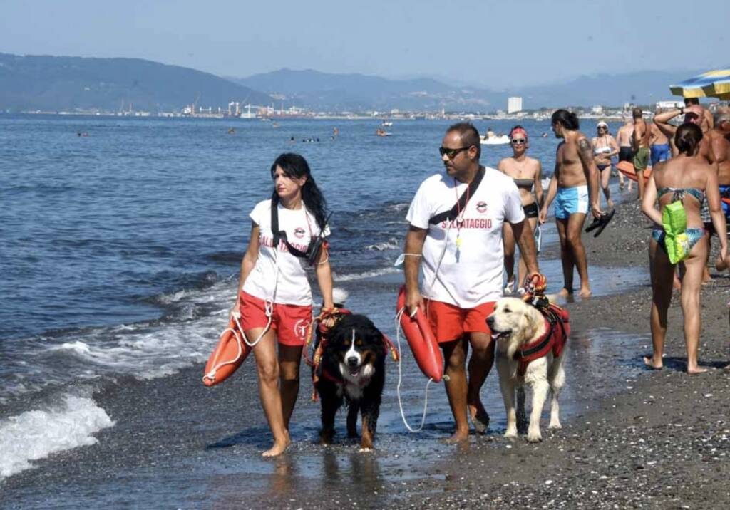 I cani bagnini sulla spiaggia del Cinquale