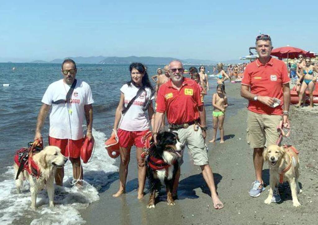 I cani bagnini sulla spiaggia del Cinquale