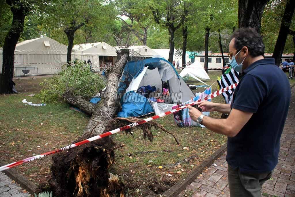 Tragedia a Marina di Massa, 2 bambine muoiono travolte da un albero