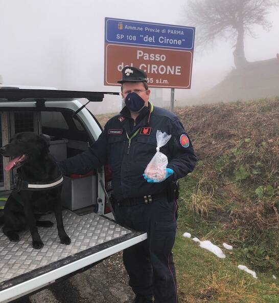 Unità cinofila al Passo del Cirone