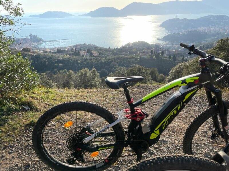 bicicletta mountain bike