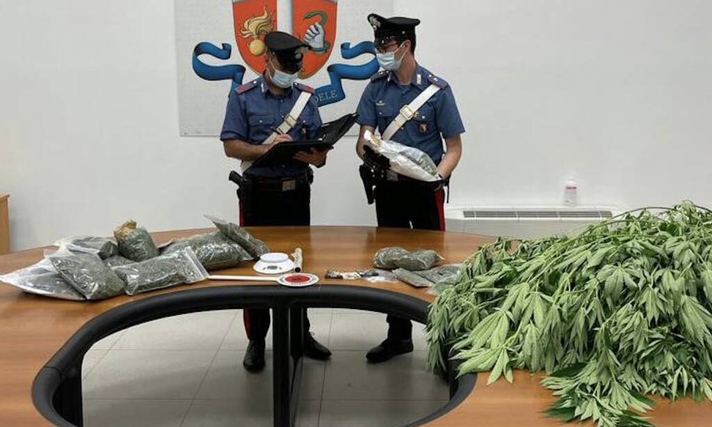 marijuana carabinieri