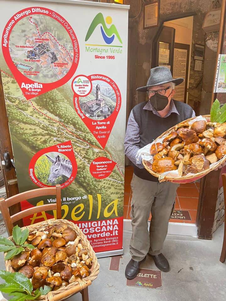 funghi porcini, maffei apella