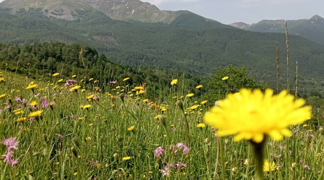 Parco Appennino Tosco Emiliano