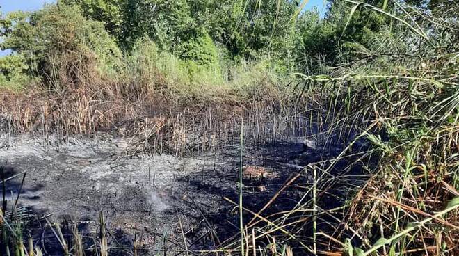 incendio ferragosto poveromo