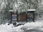 nevicata neve cerreto laghi 04-2024