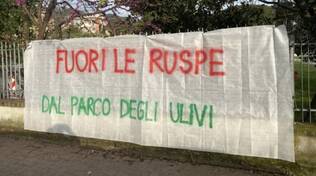 protesta parco degli ulivi questura 04-2024