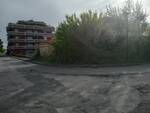 terreno incolto via Zeri Marina di Carrara