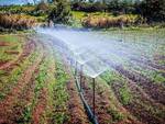 rete irrigazione agricola Consorzio di Bonifica Toscana Nord